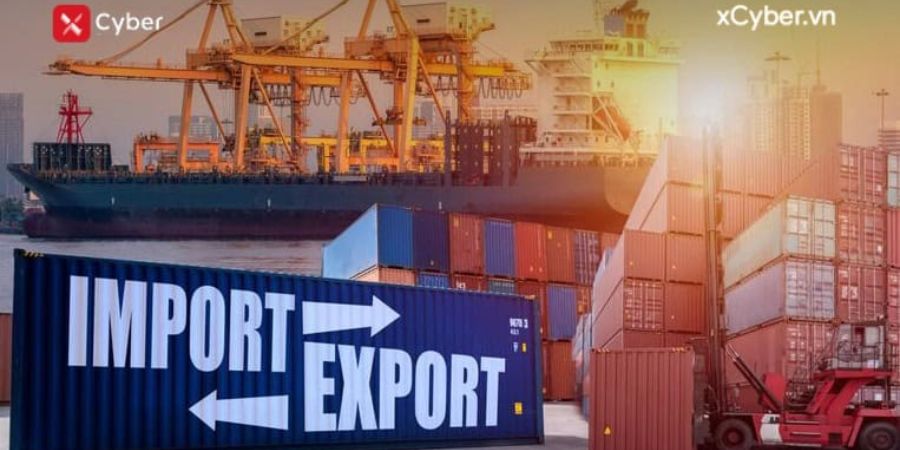 Những lưu ý quan trọng về thuế xuất khẩu, thuế nhập khẩu năm 2024 12 Những lưu ý quan trọng về thuế xuất khẩu, thuế nhập khẩu năm 2024