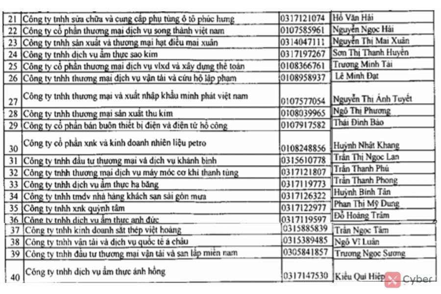 113 doanh nghiệp bán hóa đơn trái phép do Tổng cục Thuế công bố - Ảnh 2