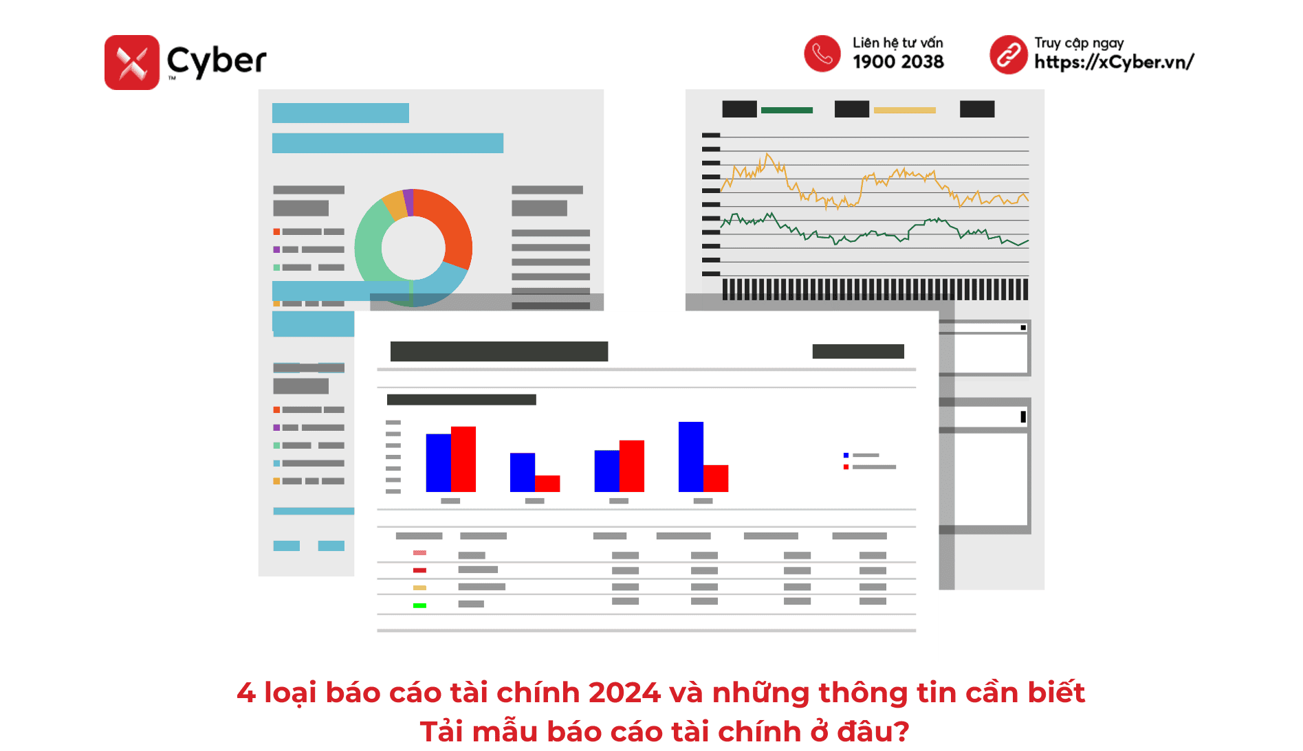 Báo cáo tài chính