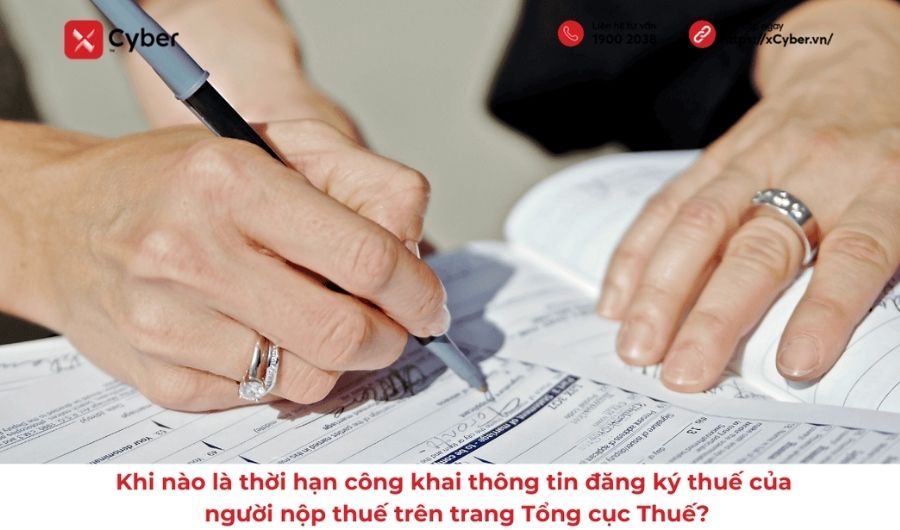 Khi nào là thời hạn công khai thông tin đăng ký thuế của người nộp thuế trên trang Tổng cục Thuế? 16 Khi nào là thời hạn công khai thông tin đăng ký thuế của người nộp thuế trên trang Tổng cục Thuế?