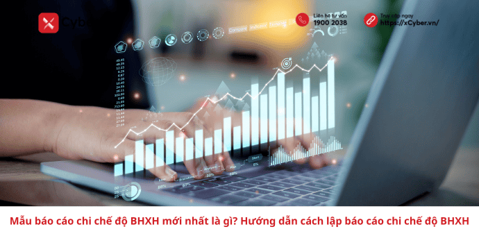 báo cáo chi chế độ BHXH