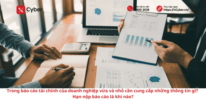 báo cáo tài chính của doanh nghiệp vừa và nhỏ