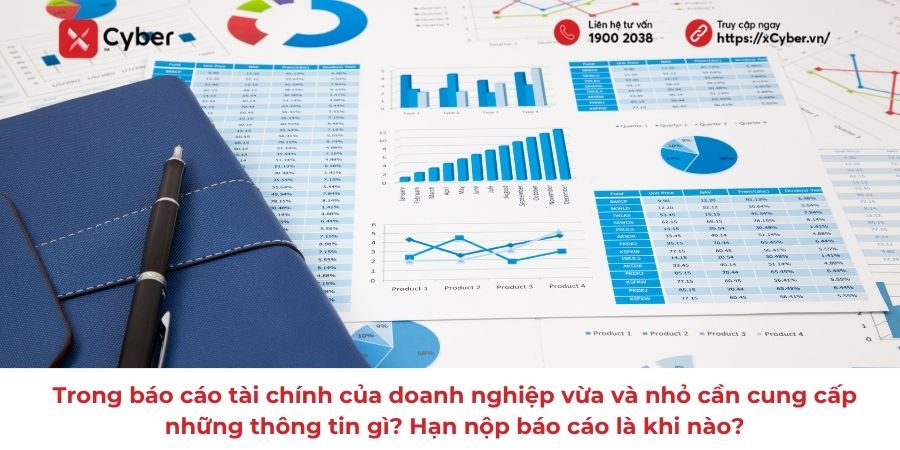 Trong báo cáo tài chính của doanh nghiệp vừa và nhỏ cần cung cấp những thông tin gì? Hạn nộp báo cáo là khi nào?