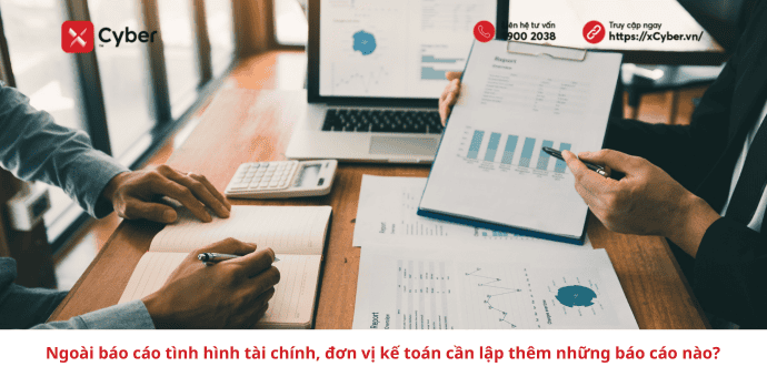 báo cáo tình hình tài chính