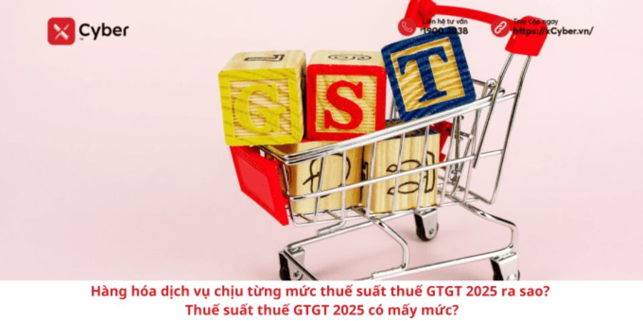 Hàng hóa dịch vụ chịu từng mức thuế suất thuế GTGT 2025 ra sao? Thuế suất thuế GTGT 2025 có mấy mức?