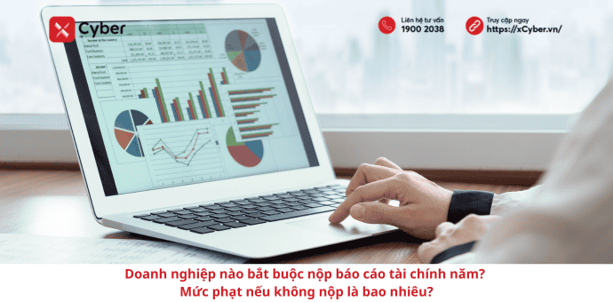 Doanh nghiệp nào bắt buộc nộp báo cáo tài chính năm? Mức phạt nếu không nộp là bao nhiêu?
