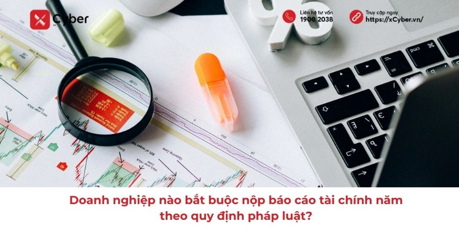 Doanh nghiệp nào bắt buộc nộp báo cáo tài chính năm? Mức phạt nếu không nộp là bao nhiêu? 1 doanh nghiệp nào bắt buộc nộp báo cáo tài chính năm