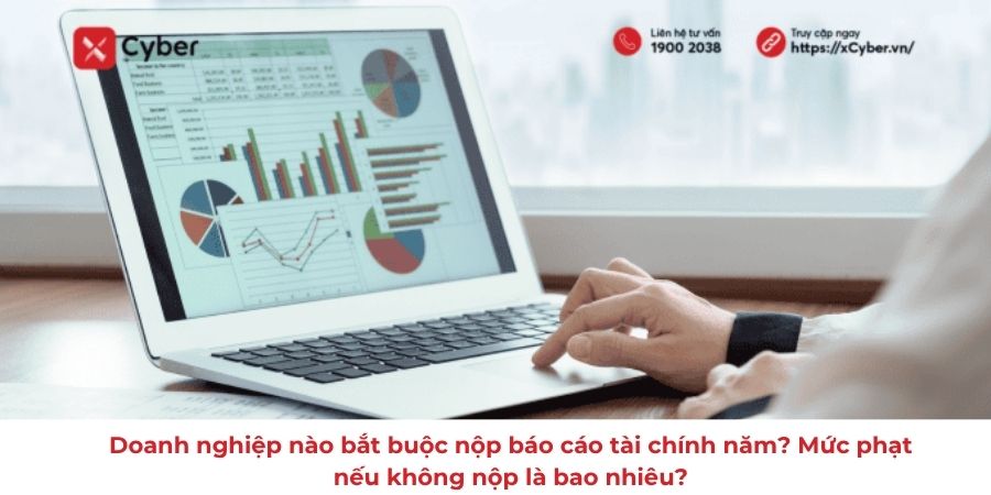 Doanh nghiệp nào bắt buộc nộp báo cáo tài chính năm? Mức phạt nếu không nộp là bao nhiêu?