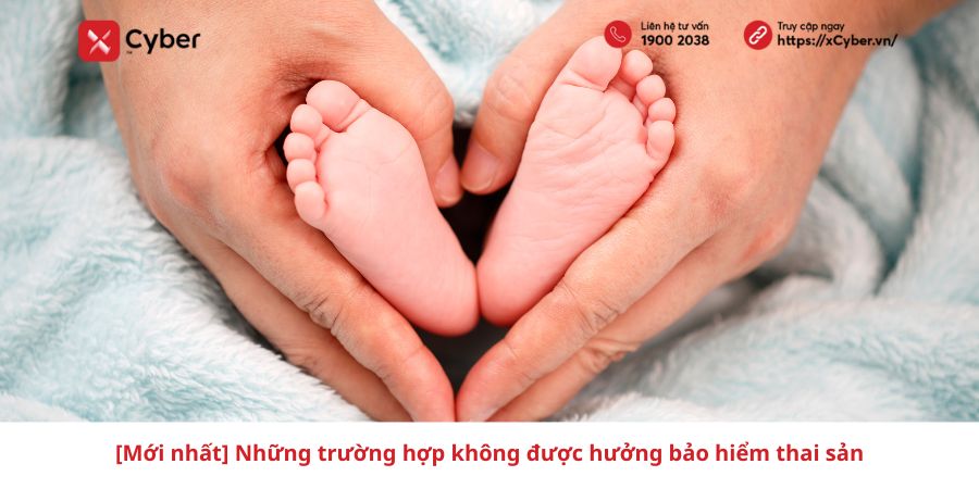 các trường hợp không được hưởng chế độ thai sản