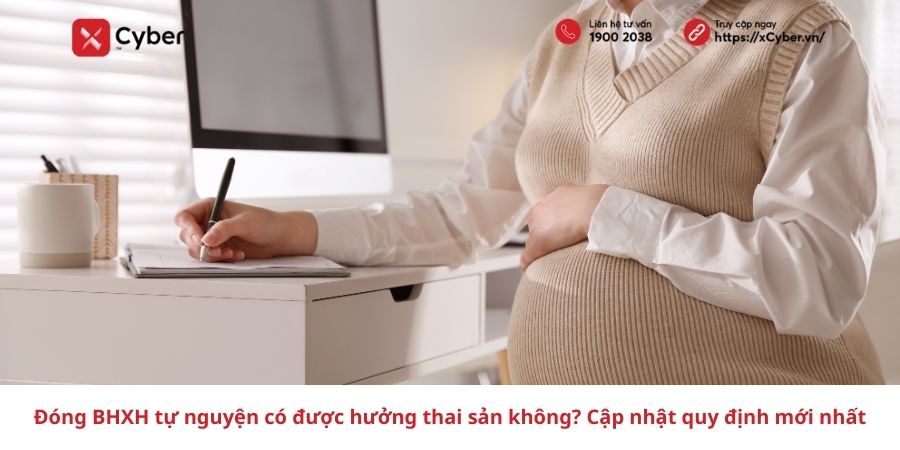 Đóng BHXH tự nguyện có được hưởng thai sản không? Cập nhật quy định mới nhất 8 Đóng BHXH tự nguyện có được hưởng thai sản không