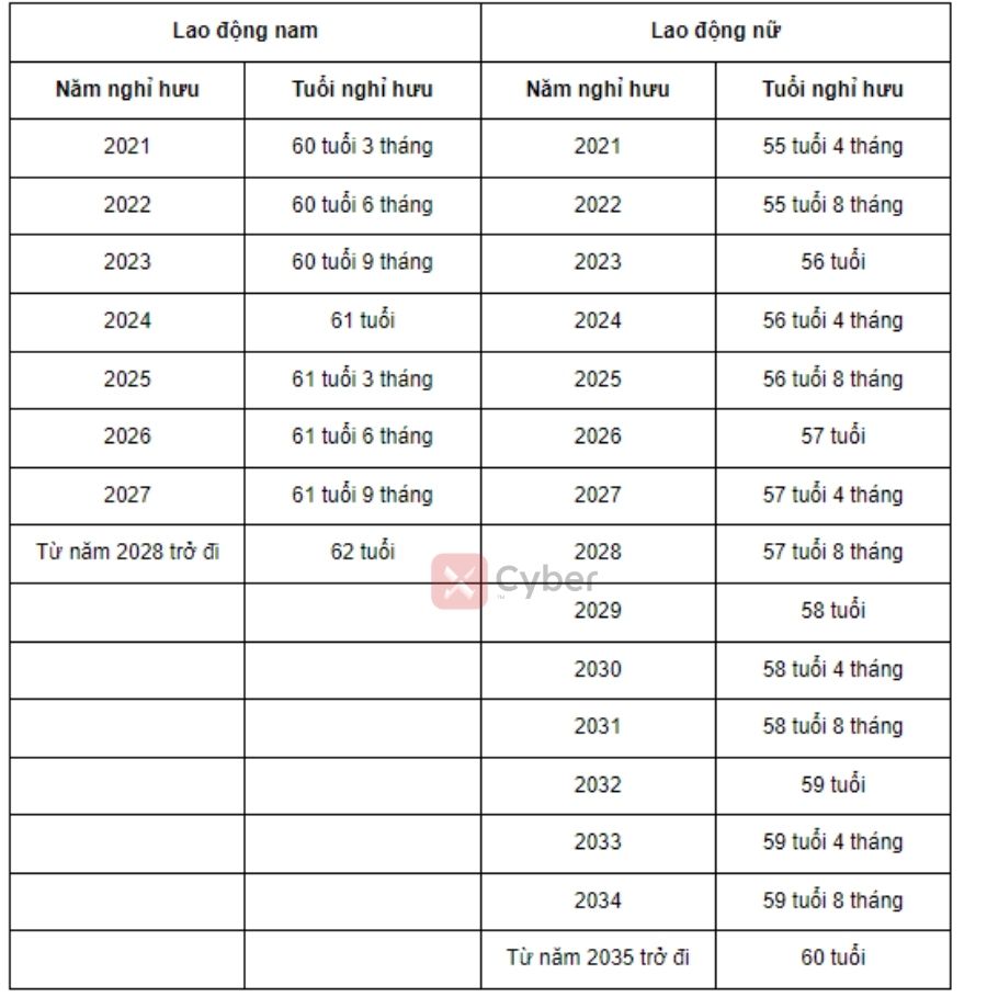 bảng tra tuổi nghỉ hưu