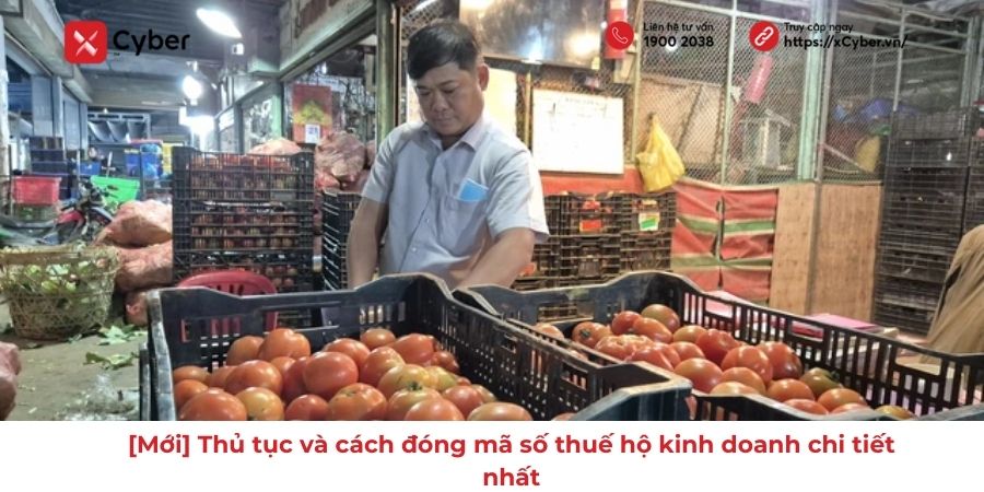 đóng mã số thuế hộ kinh doanh