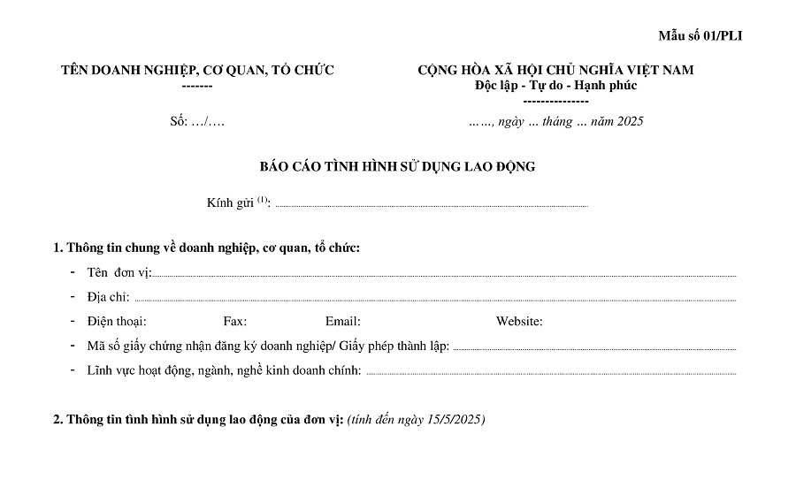 mẫu 01/pli báo cáo tình hình sử dụng lao động