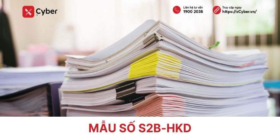 mẫu số s2b-hkd