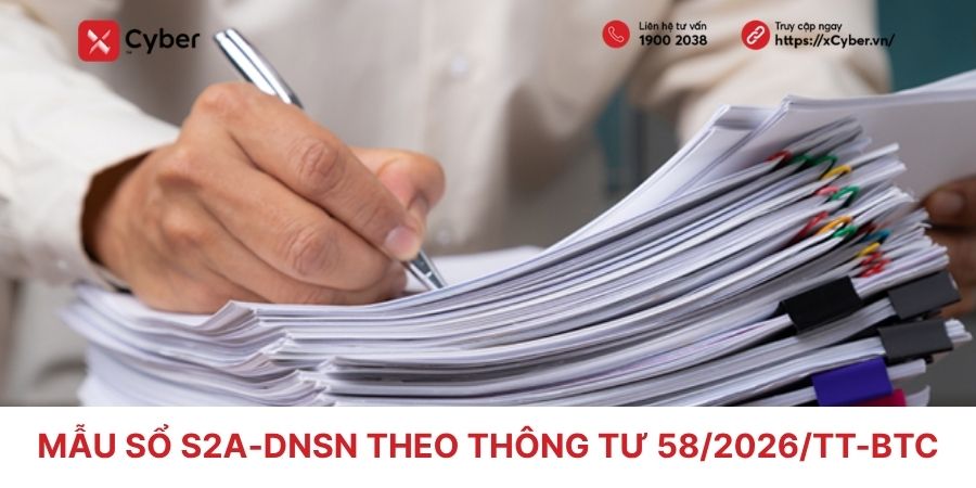 mẫu sổ s2a-dnsn