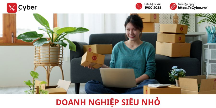 Doanh nghiệp siêu nhỏ là gì? Tiêu chí xác định và ví dụ thực tế tại Việt Nam 1 doanh nghiệp siêu nhỏ