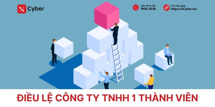 điều lệ công ty tnhh 1 thành viên