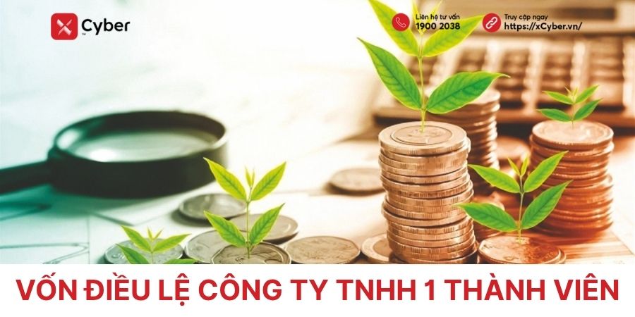 vốn điều lệ công ty tnhh 1 thành viên